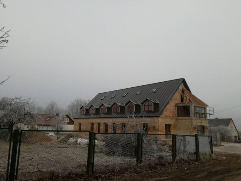 Centro statyba – Pastatas sparčiai kyla – 2018 – nuotrauka 2